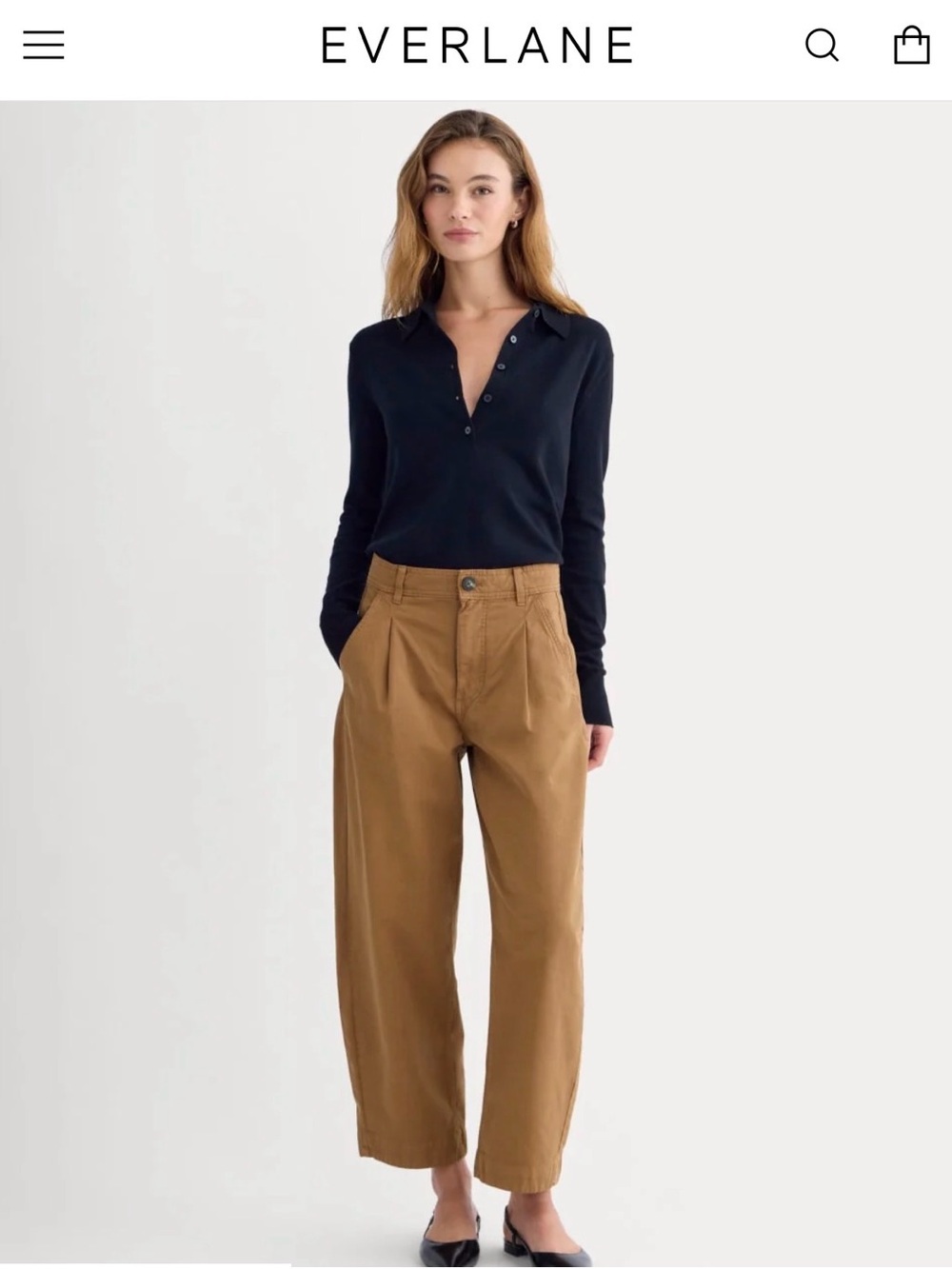 Everlane Wide-Leg High-Rise Pants in Camel Brown